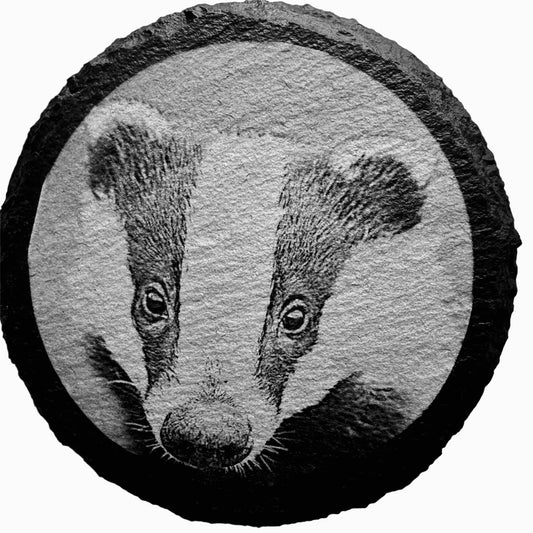 Laser Etched  Wildlife Slate Coasters x 4