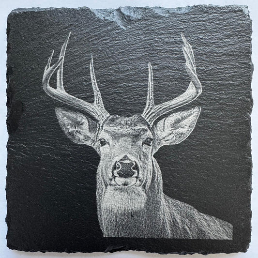 Laser Etched  Stag  Slate Coasters x 4