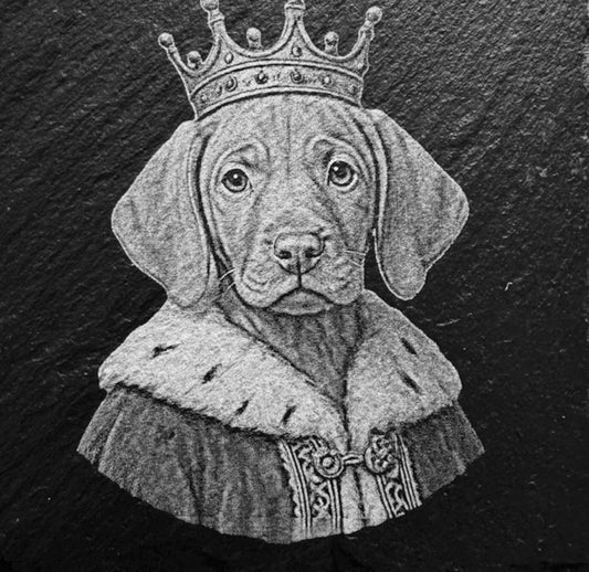 Laser Etched  Vizsla Slate Coasters x 4