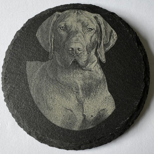 Laser Etched Pet  Photo Slate Coaster